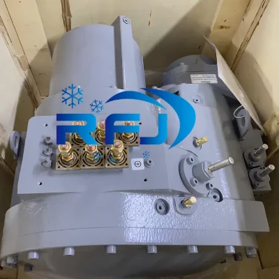 Tout nouveau compresseur de réfrigération à vis R134a