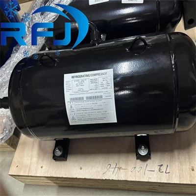Compresseur horizontal de défilement R407C pour Hitachi
